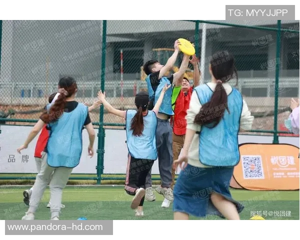 成都飞盘队的团队协作与飞盘运动的魅力探索