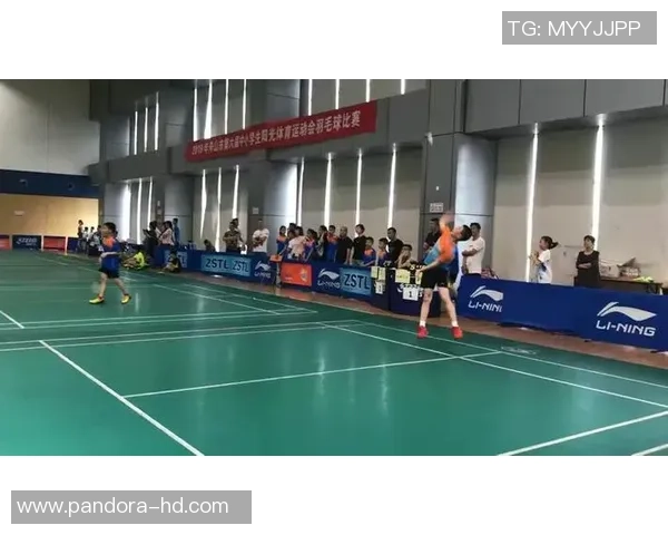 深圳羽毛球队的盯防体系与战术分析探讨