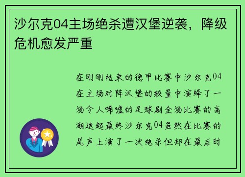 沙尔克04主场绝杀遭汉堡逆袭，降级危机愈发严重